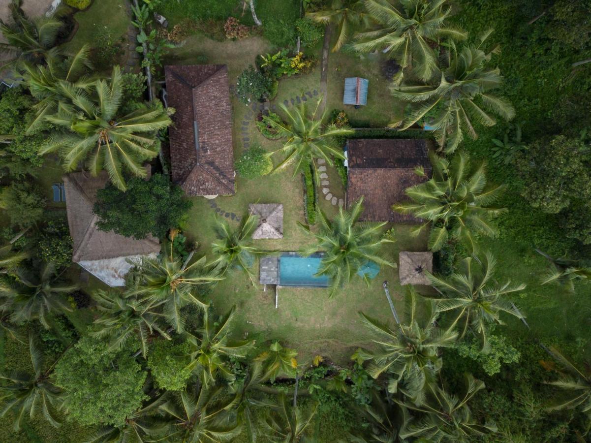 Green Sari Private Villa Ubud Kültér fotó