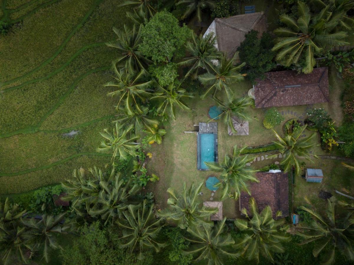 Green Sari Private Villa Ubud Kültér fotó