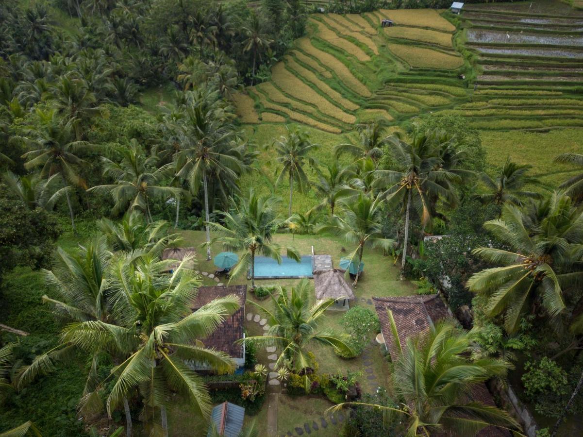 Green Sari Private Villa Ubud Kültér fotó