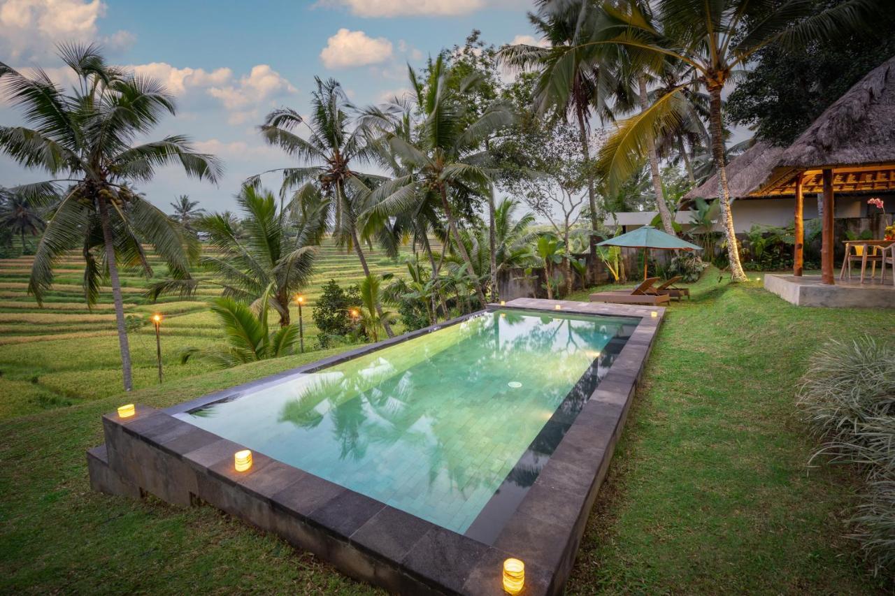 Green Sari Private Villa Ubud Kültér fotó