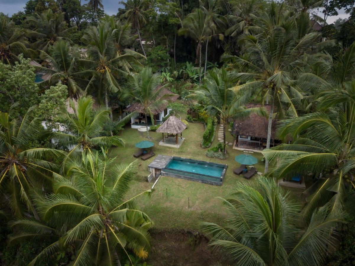 Green Sari Private Villa Ubud Kültér fotó